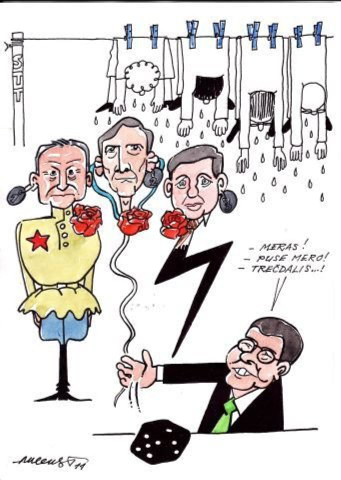 "Sanitarinė diena Lazdijuose".