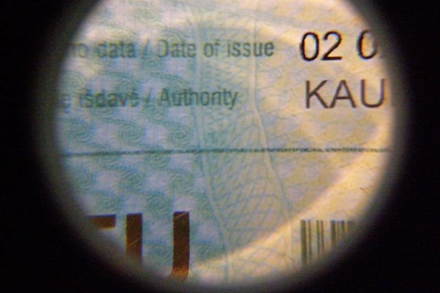 Dėl dokumento klastojimo VSAT pareigūnai pradėjo ikiteisminį tyrimą.