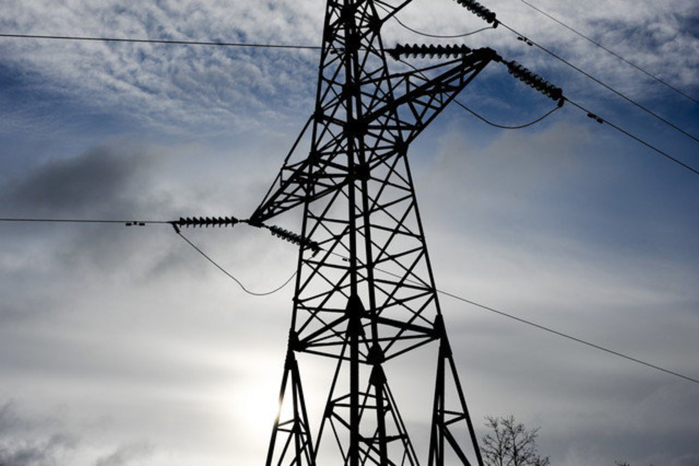 Pasak Energetikos ministerijos, Lietuva importuoja apie 60 proc. suvartojamos elektros energijos.