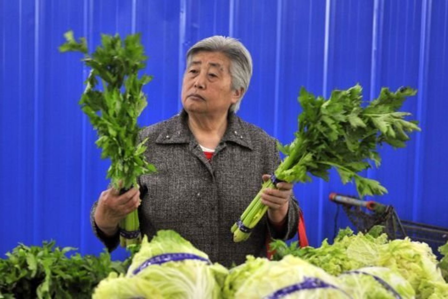PETA aktyvistai akcentuoja vegetariško maisto naudą.
