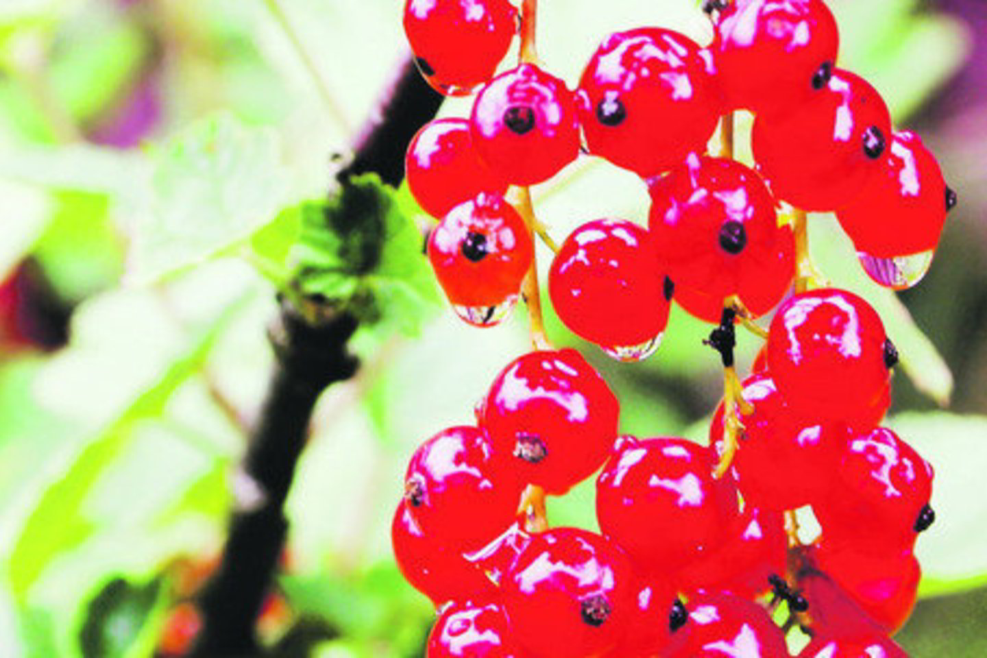 Sveikiausios – ką tik nuskintos uogos.