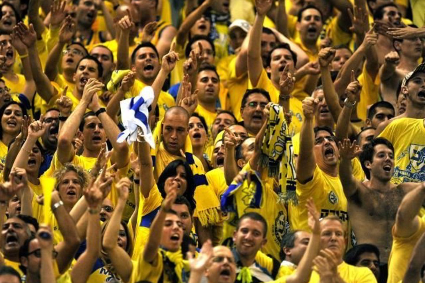 Nuraminti sirgalius ir išprašyti juos lauk pavyko tik posėdyje dalyvavusiam „Maccabi“ pirmininkui Shimonui Mizrahi.