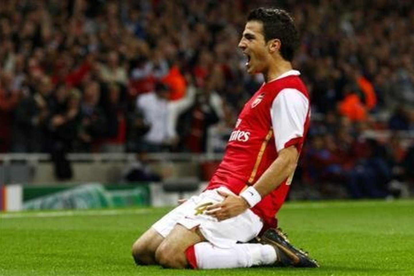 Panašu, kad C.Fabregasas dar pasiliks "Arsenal" gretose.