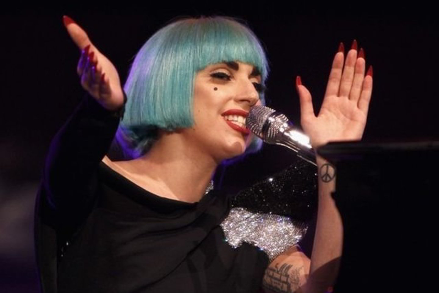 Lady Gaga šeštadienį Romoje pasmerkė seksualinių mažumų diskriminavimą.