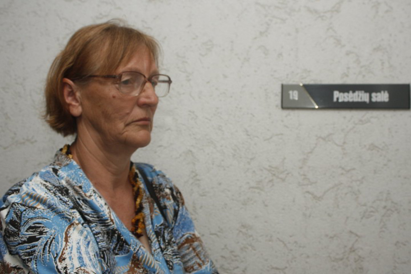 Pareigūnai neapklausė pagrindinės įvykio liudininkės, buvusios pasieniečių žvalgės B.Minevičienės.