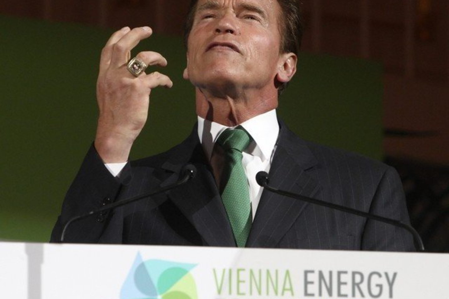 A.Schwarzeneggeris atidarė Vienos Energetikos forumą.