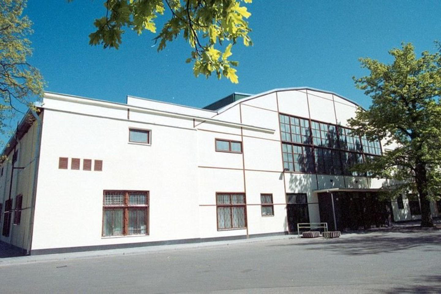 Pagal A.Rozenbliumo projektą, statoma Kauno halė turėjo būti universali, įvairioms sporto šakoms pritaikyta arena.