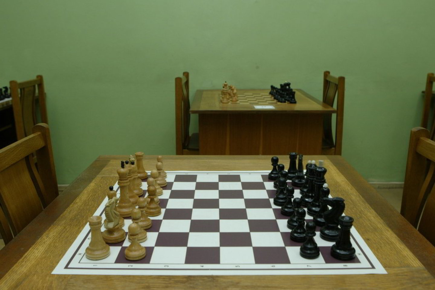 T.Stasevičius
