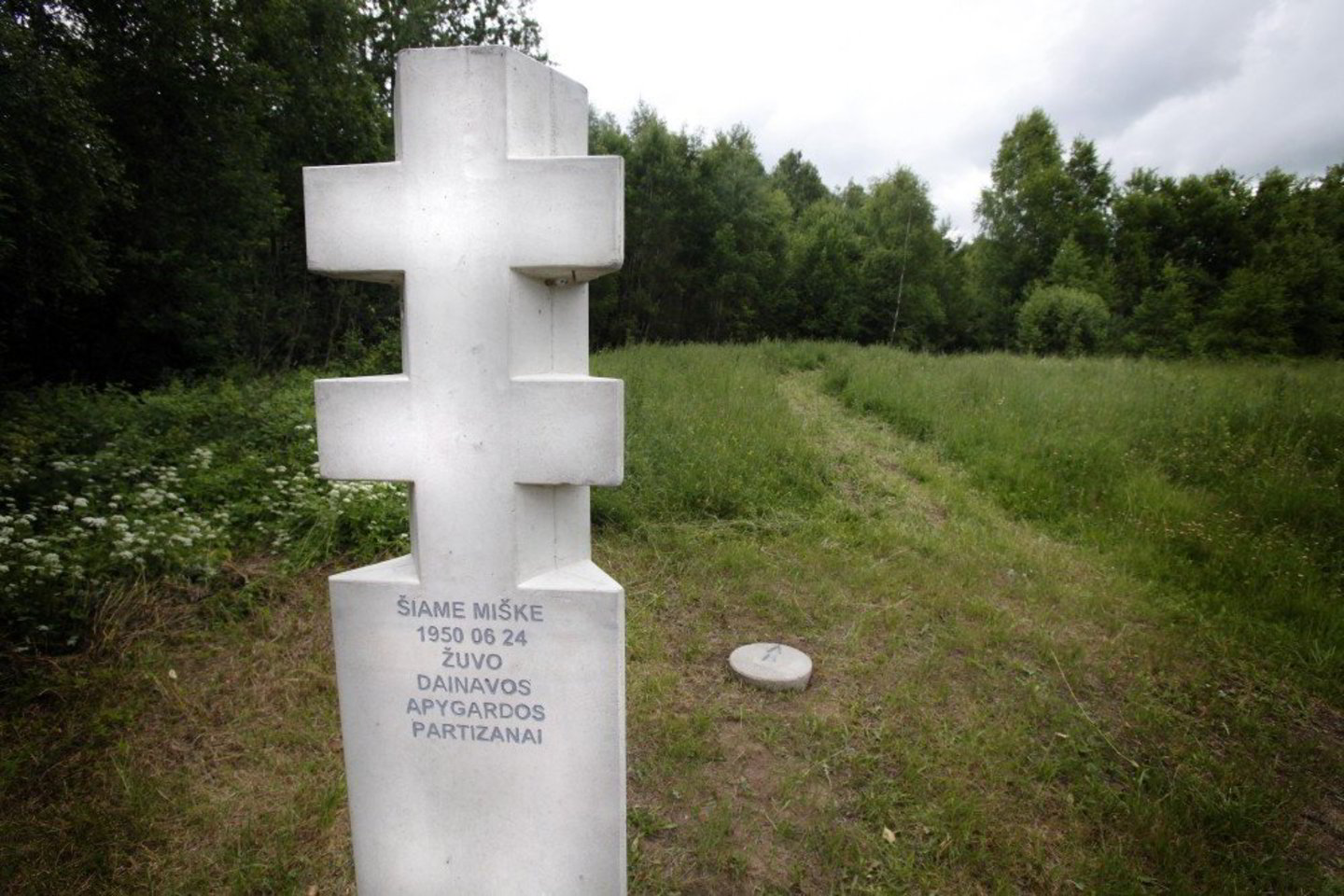 Savaitgalį Žaliamiškyje (Varėnos raj.) buvo pagerbtas Dainavos apygardos partizano Lionginio Baliukevičiaus - Dzūko atminimas. Šio paminklo atidengimu startavo naujas grupės “Skylė” projektas “Broliai” partizanų apygardose”.