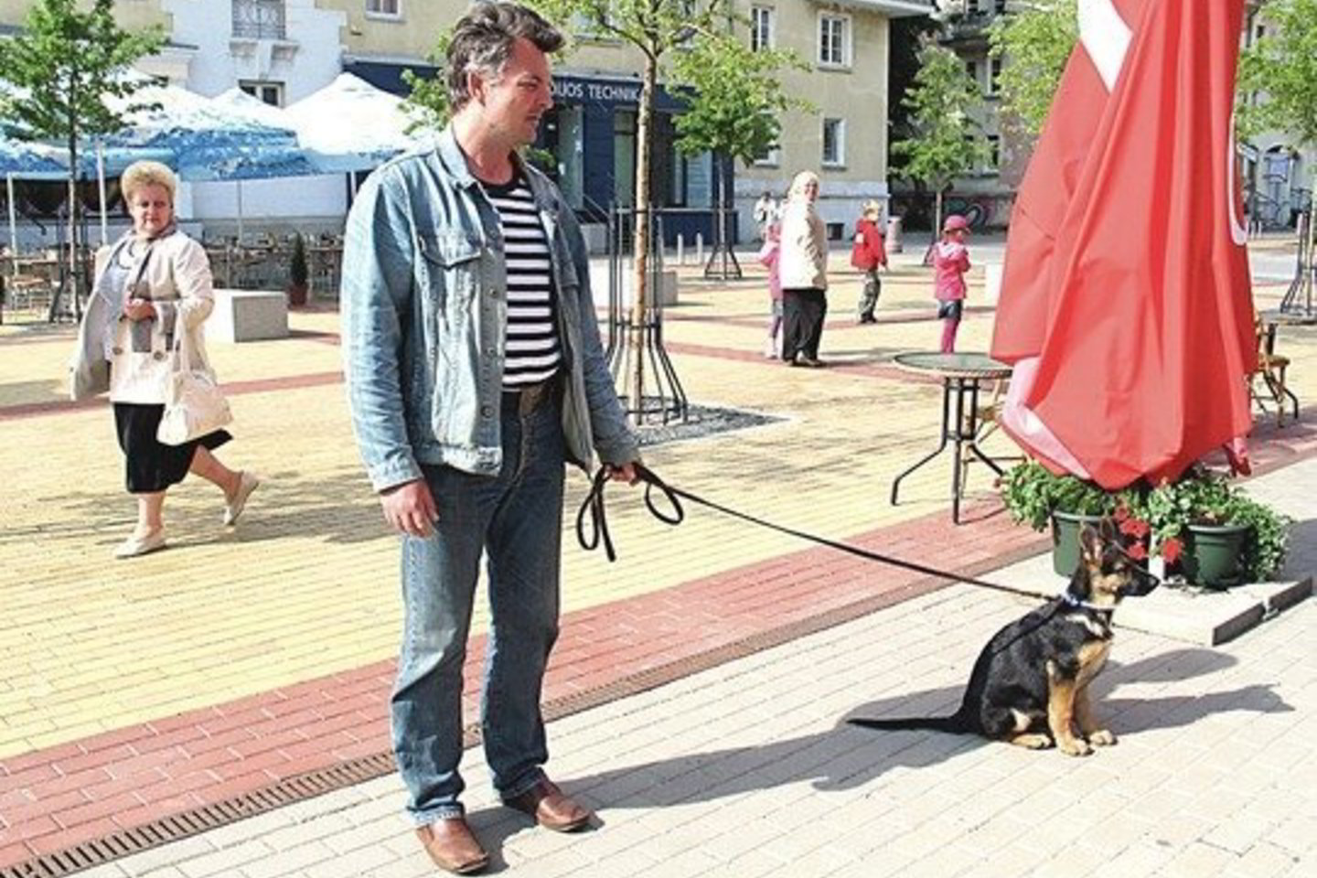 Po miestą bet kur vedžiojami šunys patinka ne visiems klaipėdiškiams.