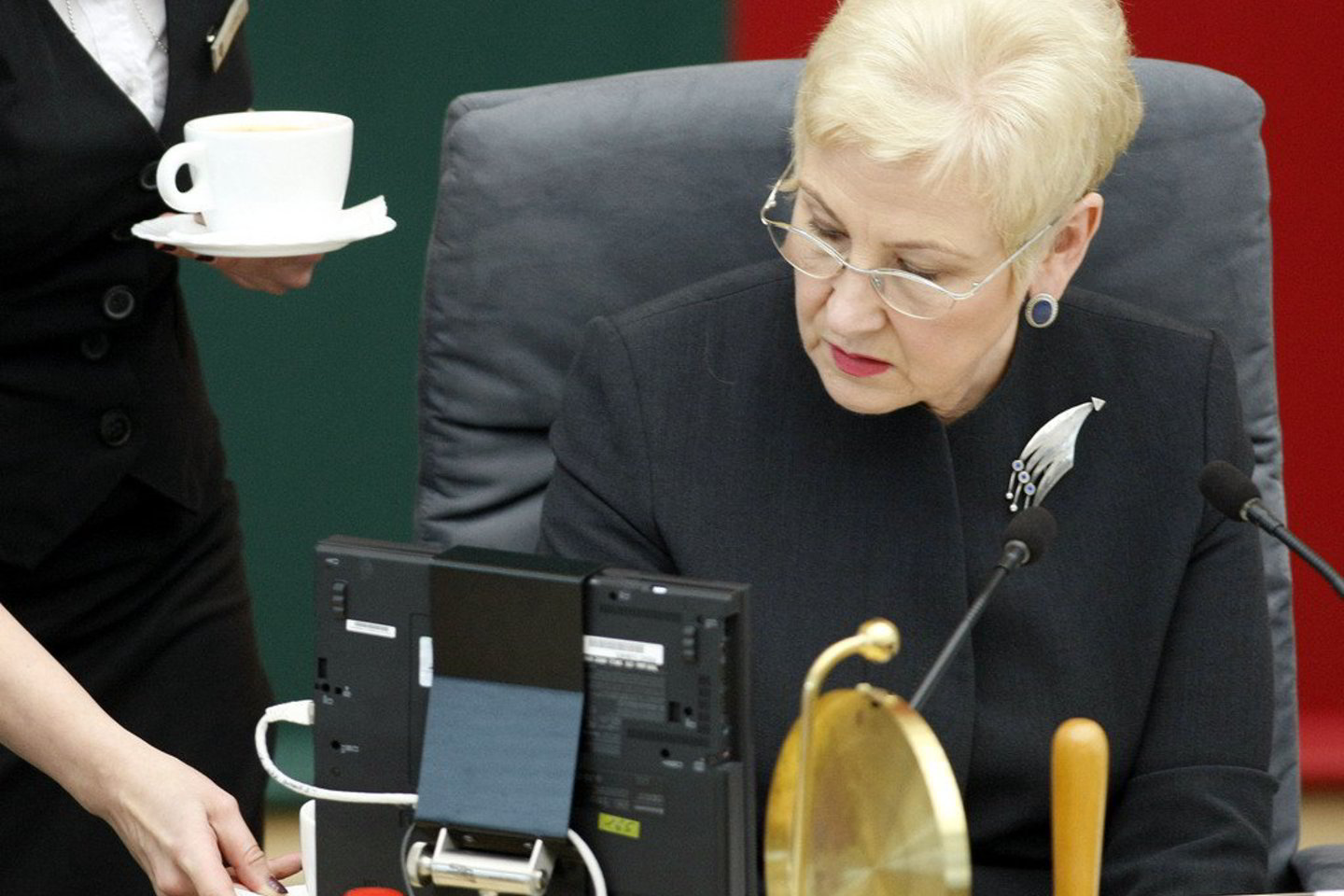 I.Degutienė parlamentarams pasiūlė vasarą mokytis valdyti emocijas.