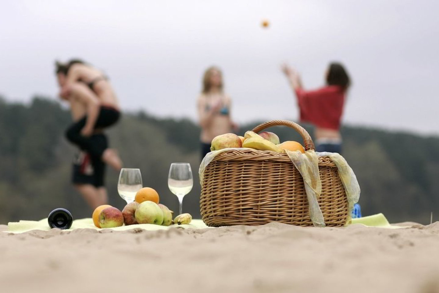 Pasak pikniko iniciatorių, norima atkreipti žmonių dėmesį į sveikesnį maitinimąsi ir paskatinti miestų gyventojus pietų metu daugiau laiko su savo kolegomis leisti atvirose miesto erdvėse.