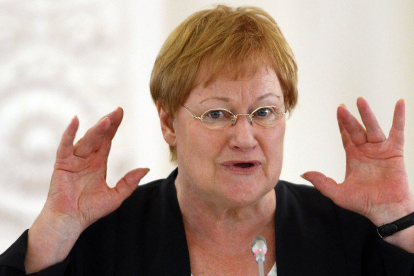 T.Halonen pabrėžė, kad daugelyje pasaulio šalių moterys skursta ir neužtikrinamos jų teisės, jos patiria smurtą.