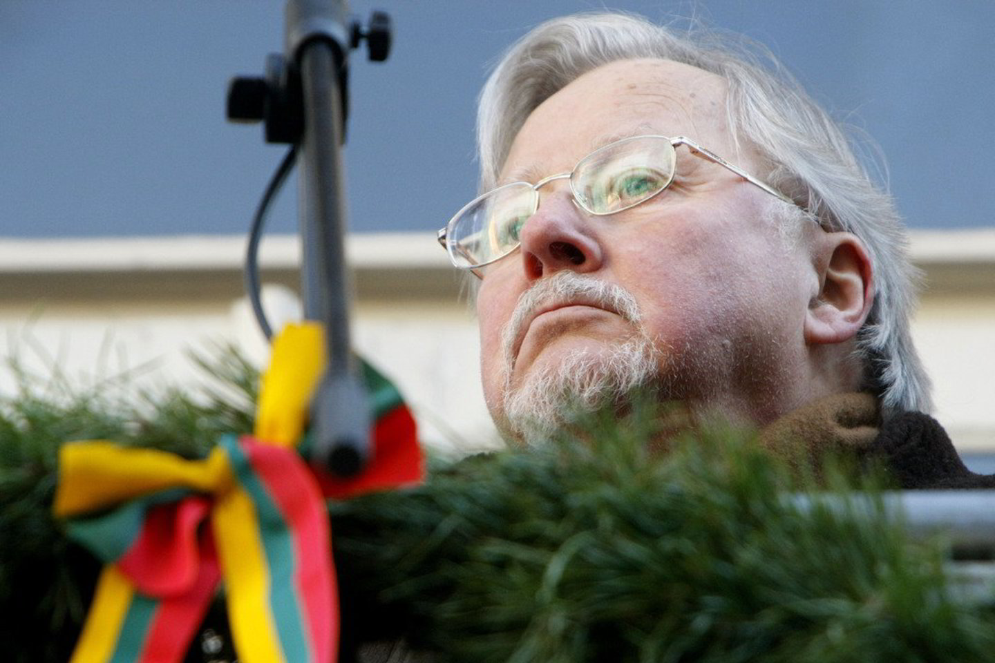 V.Landsbergis