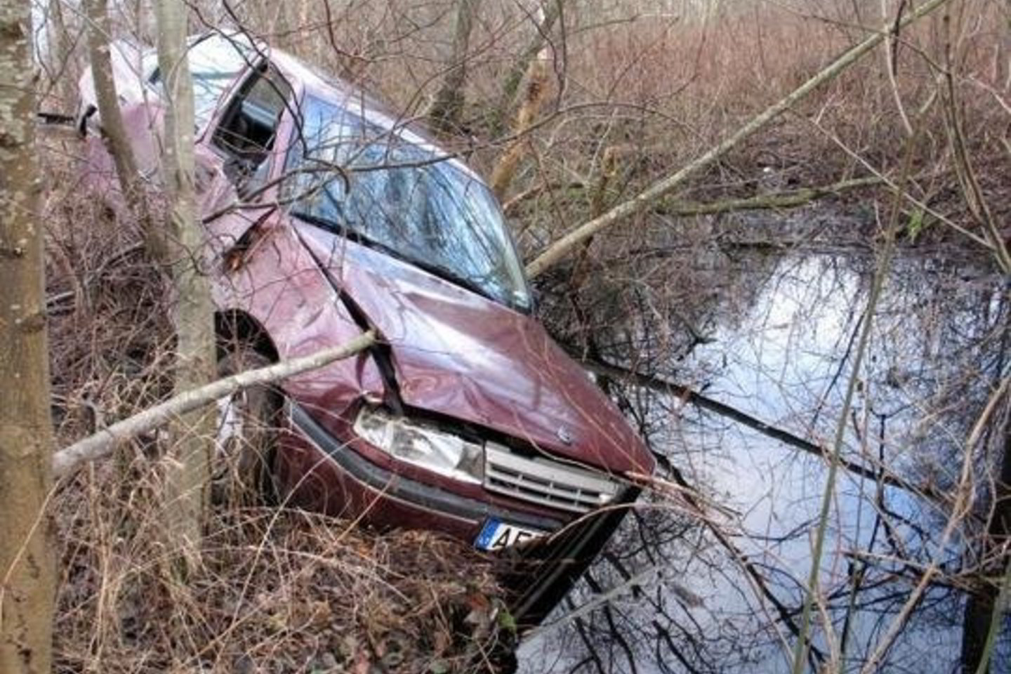 Patyrę avariją "PZU Lietuva" klientai gali gabenti savo automobilius tiesiai į servisą