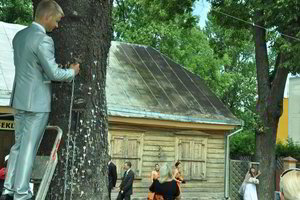 Teisybės medis sudomino Panevėžio jaunavedžius (nuotraukos)