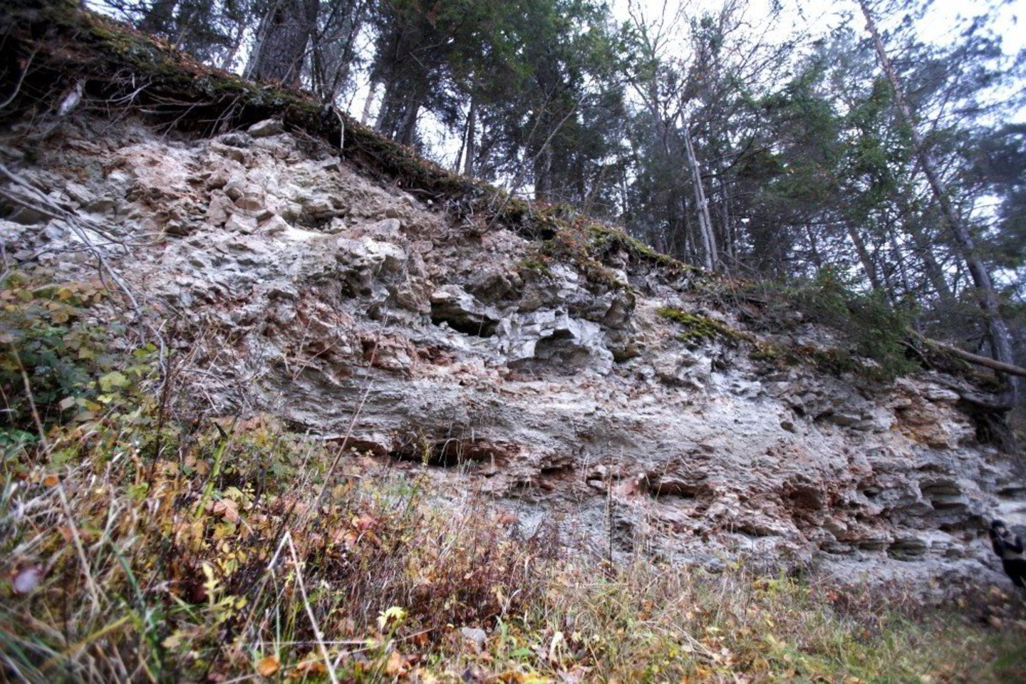 V.Balkūnas