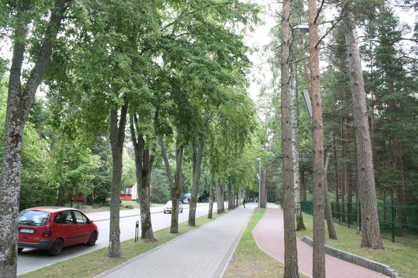 A.Ziabkus