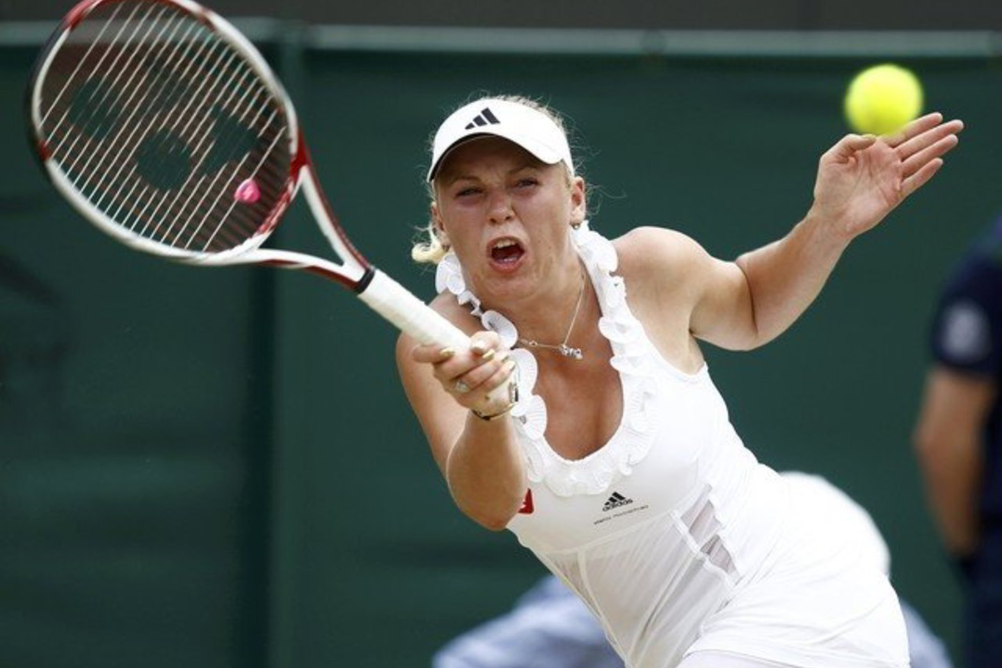 C.Wozniacki iškovojo pergalę.