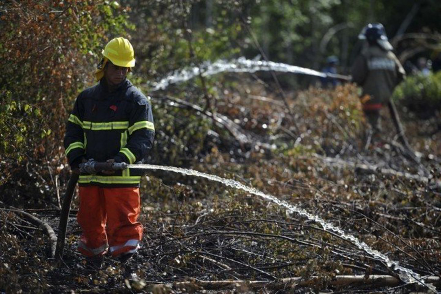 Gaisrai miškingose Rusijos teritorijose sausros ir karštu vasaros sezonu yra gana dažni.