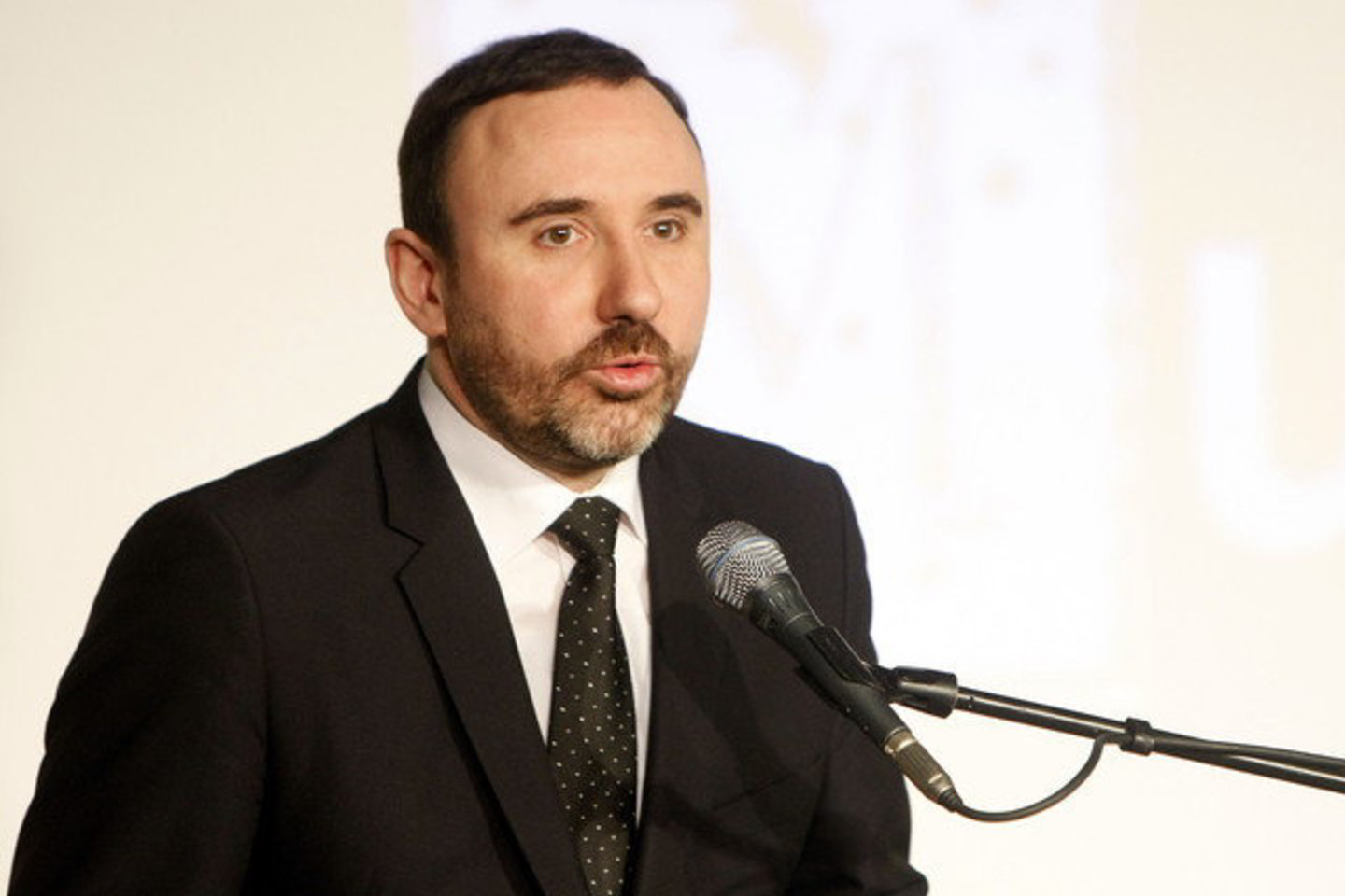 A.Gelūno teigimu, politikų dalyvavimas apsiribos vien tuo, kad jie galės nurodyti skirti tam tikrą sumą kuriai nors sričiai.