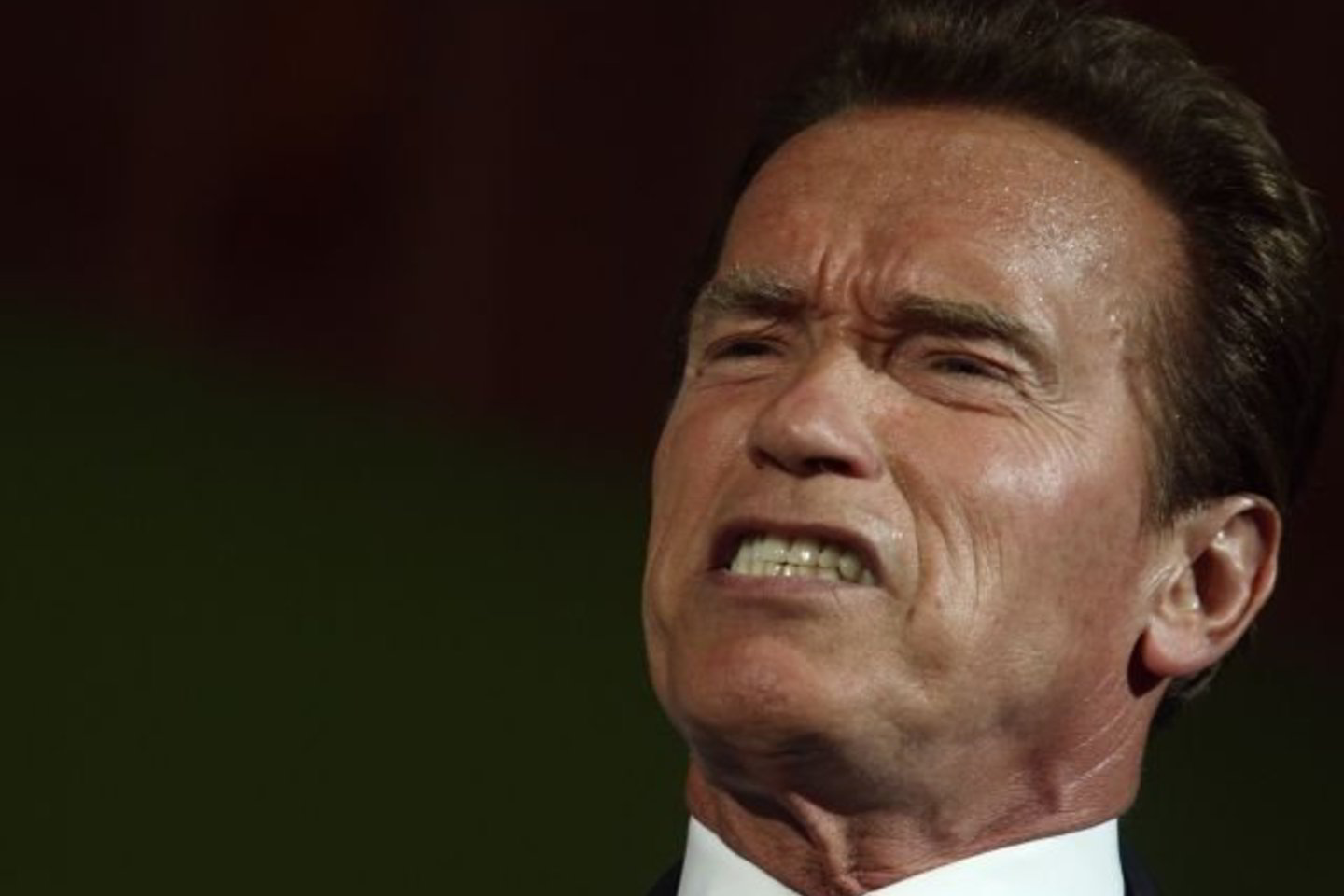 Aktorius gegužę sakė, kad stabdo derybas dėl savo vaidmens naujame kino sagos „Terminatorius“ (Terminator) filme ir kituose Holivudo projektuose.