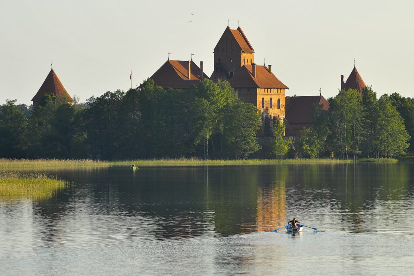 Vienos Trakų įmonės savininkas trukdė VDI inspektoriams atlikti jų darbą.