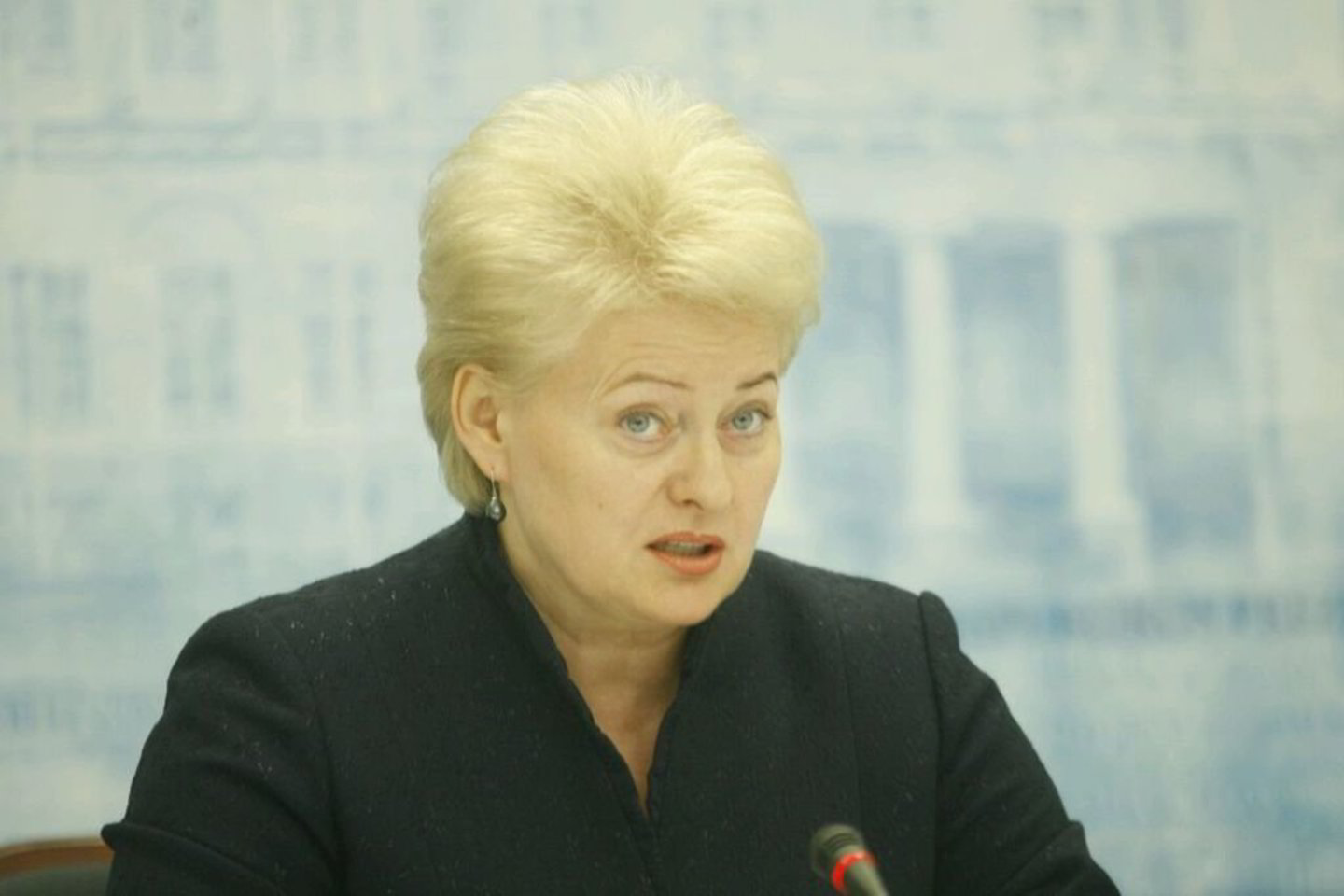 Prezidentė D.Grybauskaitė spaudos konferencijoje nubrėžė likusios kadencijos darbų gaires.