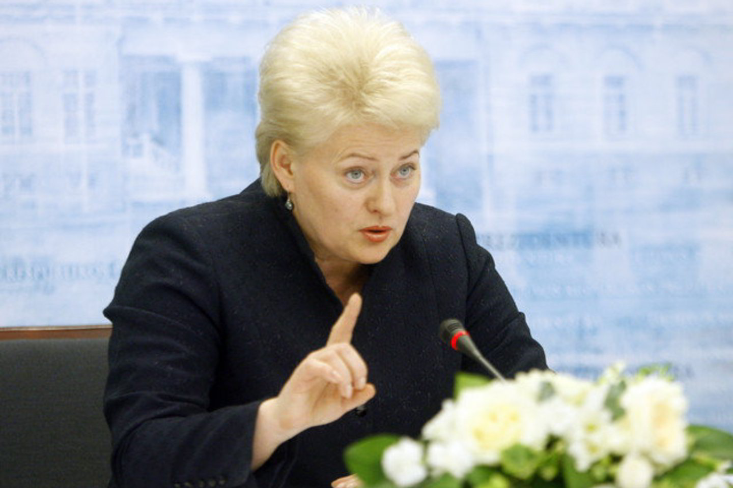 Prezidentė Dalia Grybauskaitė antradienį pareiškė, kad politinių partijų neturėtų finansuoti juridiniai asmenys, o lėšos turėtų būti skiriamos iš biudžeto ir rinkėjų paramos.