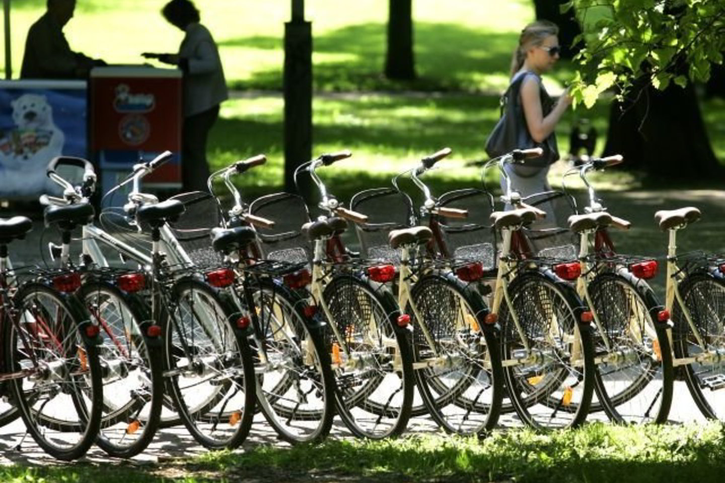 Šiemet pajūryje padaugėjo dviračių vagysčių.