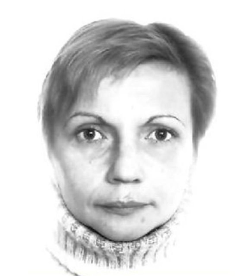 Dingusi be žinios M.Jevdokimova.