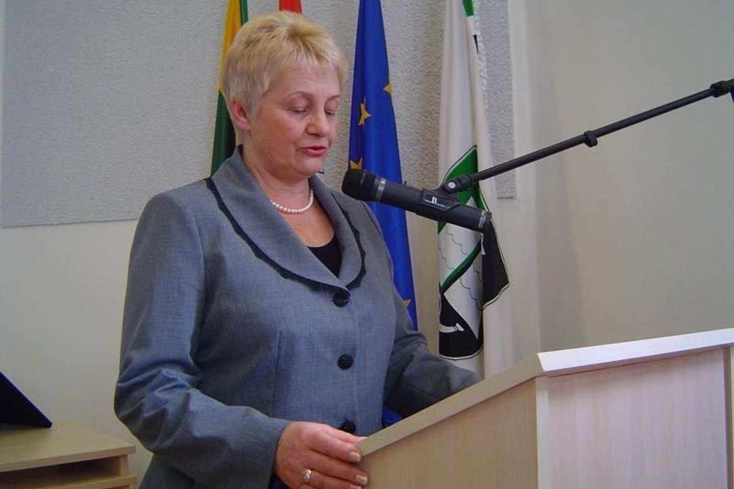 S.Skutulienė grįžta į Šilutės valdžios olimpą kaip tik tuo metu, kai tarybos opozicija ne juokais užsimojo išjudinti rajono valdančiosios koalicijos pamatus.