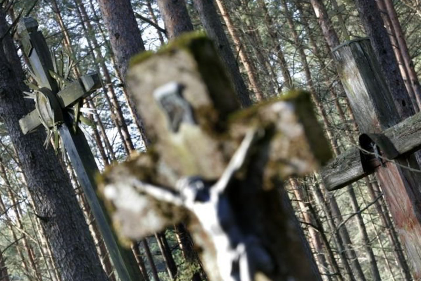 Moteris nesiginčydama paliko kunigui dar 300 litų. Kai ji grįžo į laidojimo biurą ir artimiesiems papasakojo, kad kunigui sumokėjo 400 litų, visus ištiko šokas.