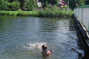 Šilutės piranijų užsigeidė Klaipėdos mokslininkai (nuotraukos)