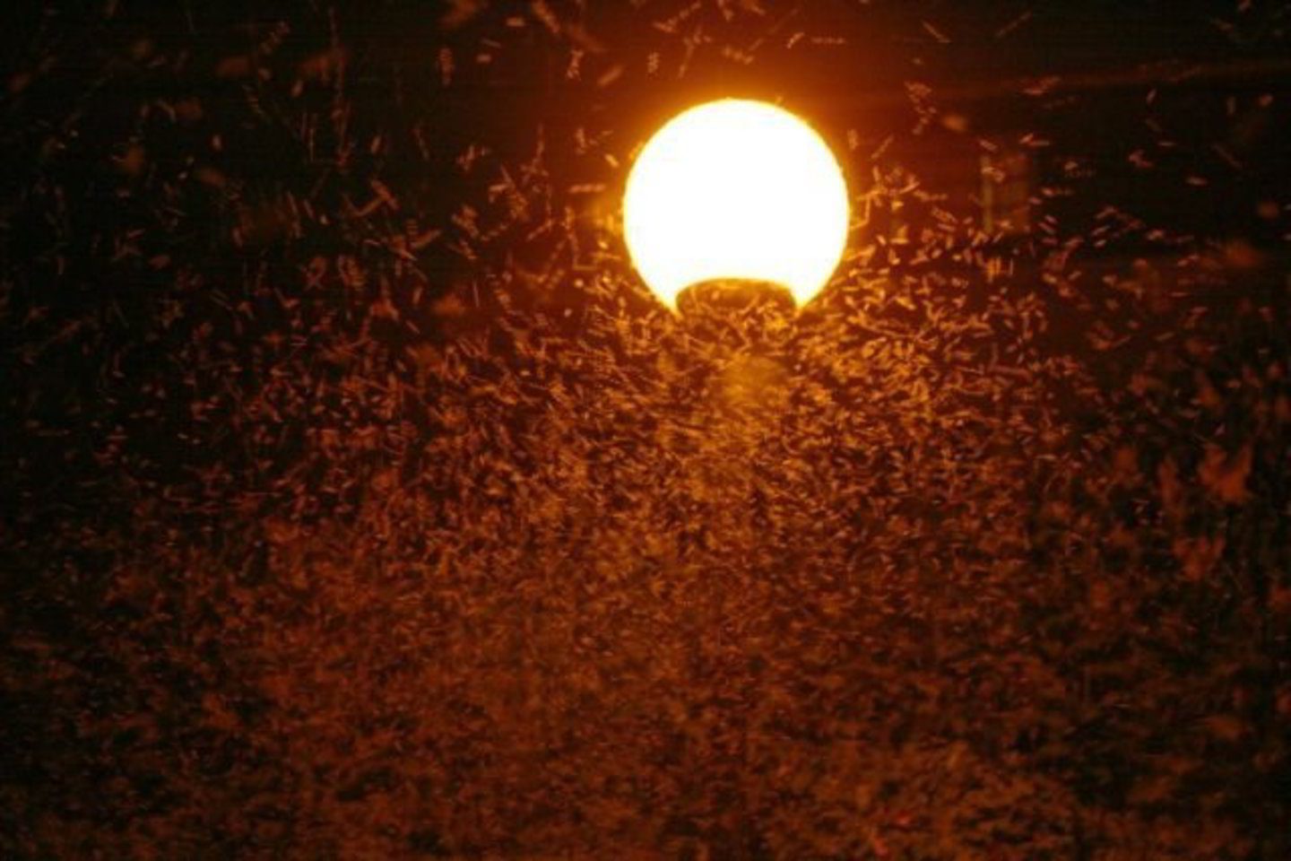 Ant tilto buvo tiek mašalų, kad tai kėlė pavojų vairuotojams.