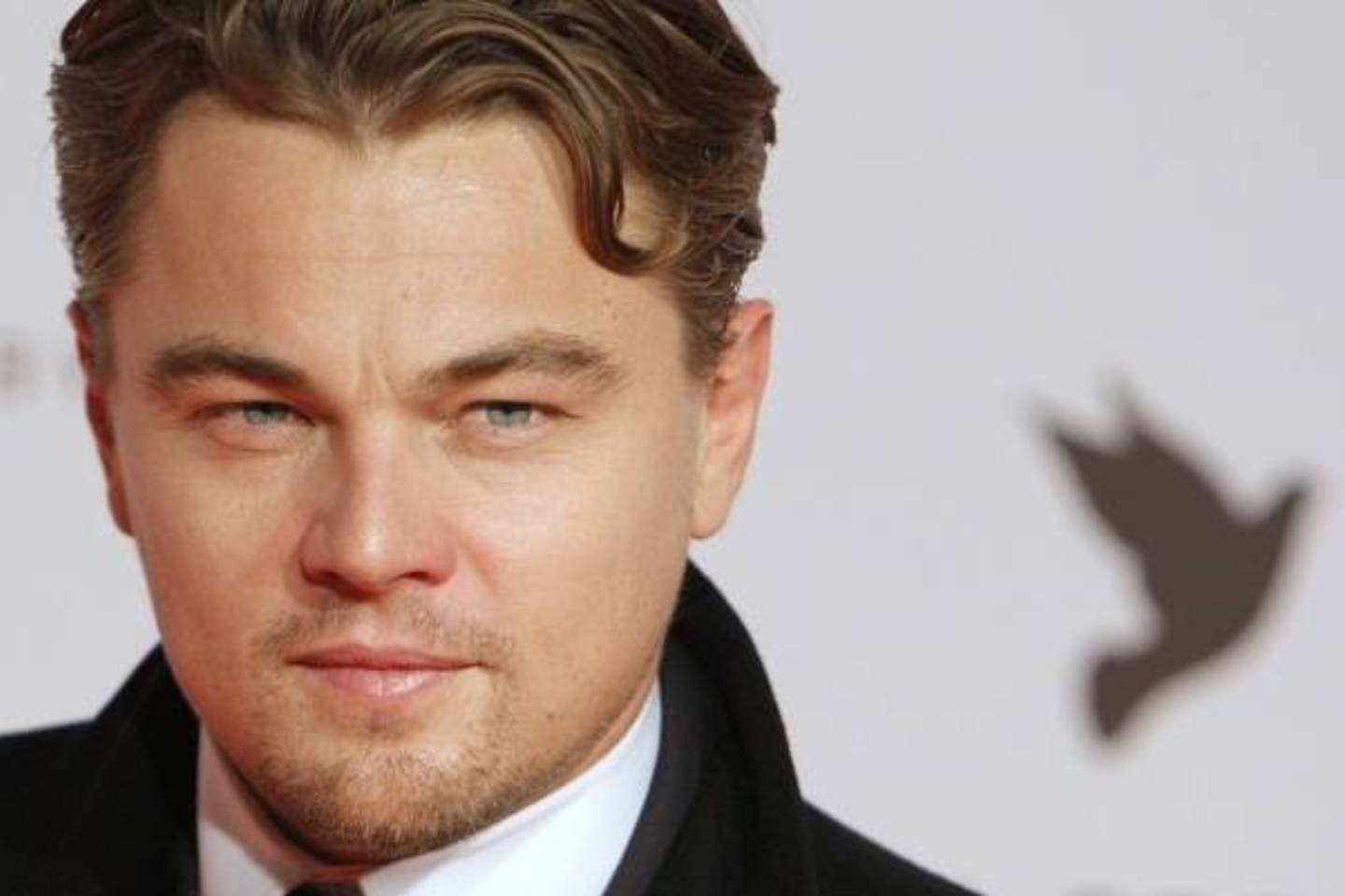 L.DiCaprio jau uždirbo 77 mln. litų.