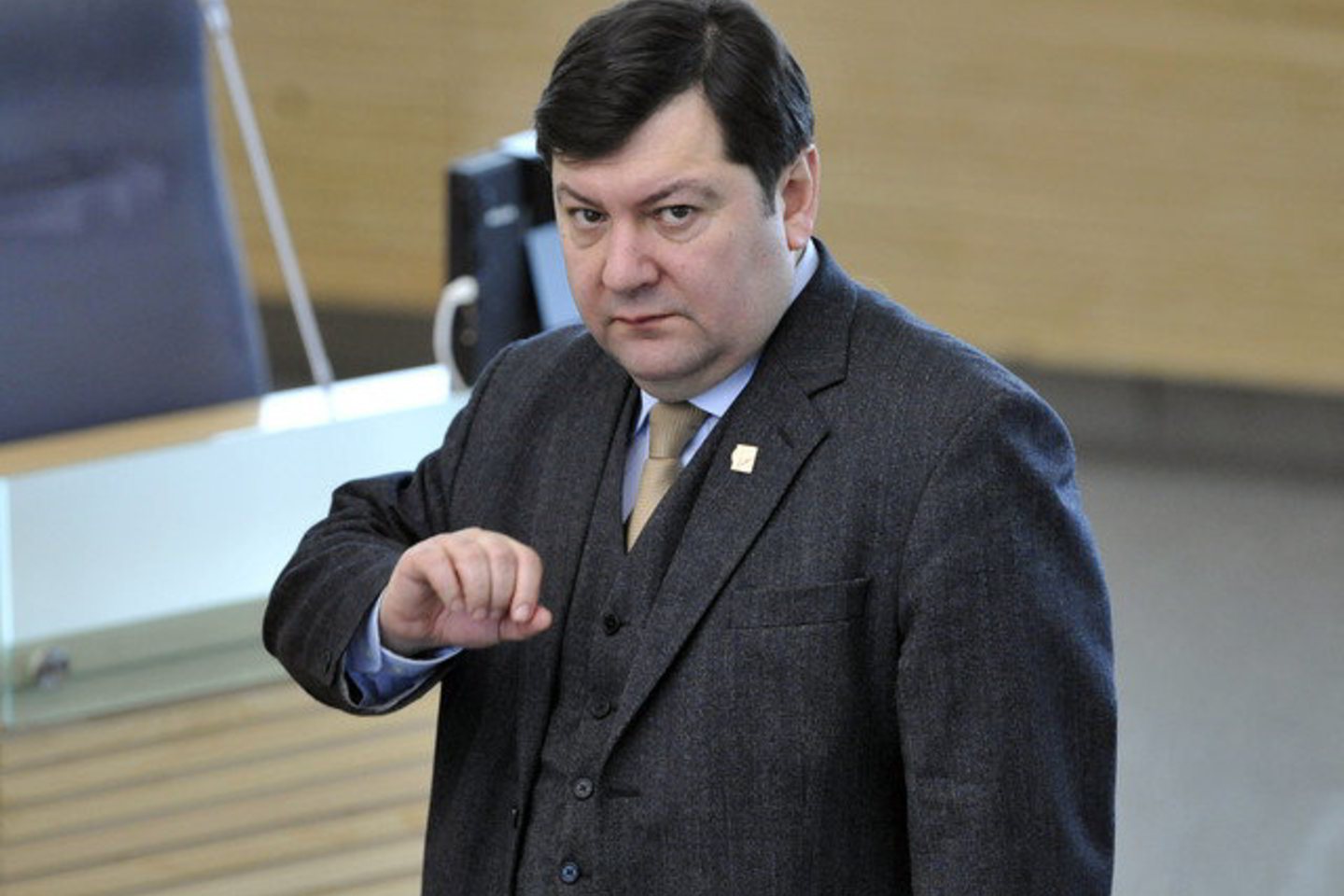 E.Zingeris - Seimo Užsienio reikalų komiteto pirmininkas.