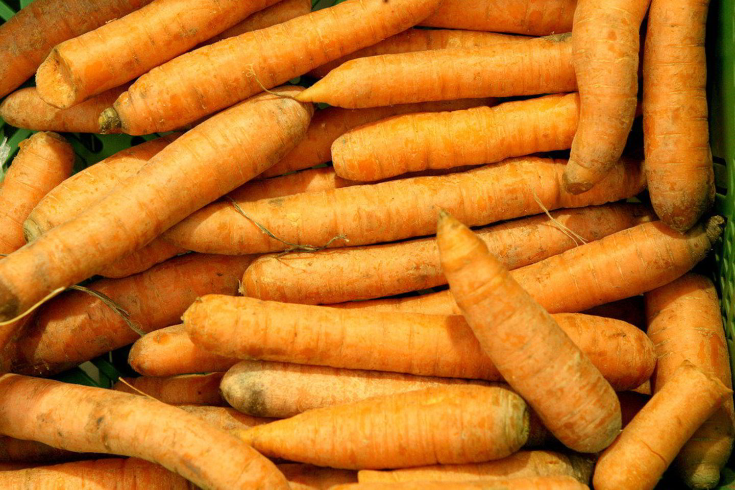 Šiam planui įgyvendinti būsimasis jaunikis sugaišo tris savaites ir išleido beveik 38 tūkst. litų.