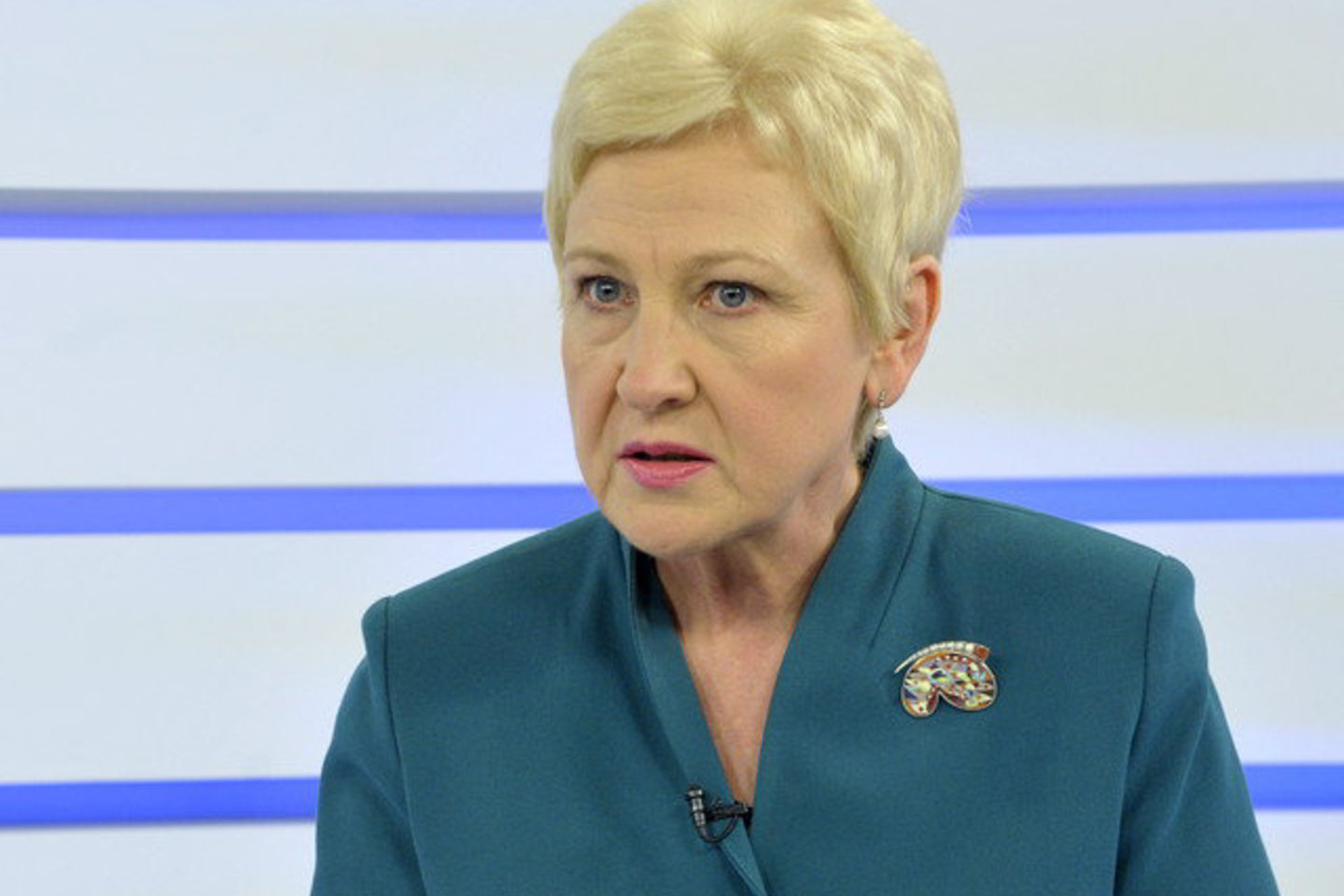 Parlamento vadovė pabrėžia, kad incidento visapusiškas ištyrimas yra bendras visų Lietuvos valdžios institucijų garbės reikalas.