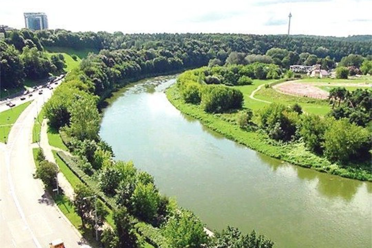 Spėjama, kad Nerį žaliai nudažė iš šilumos trasos ištekėjęs vanduo.