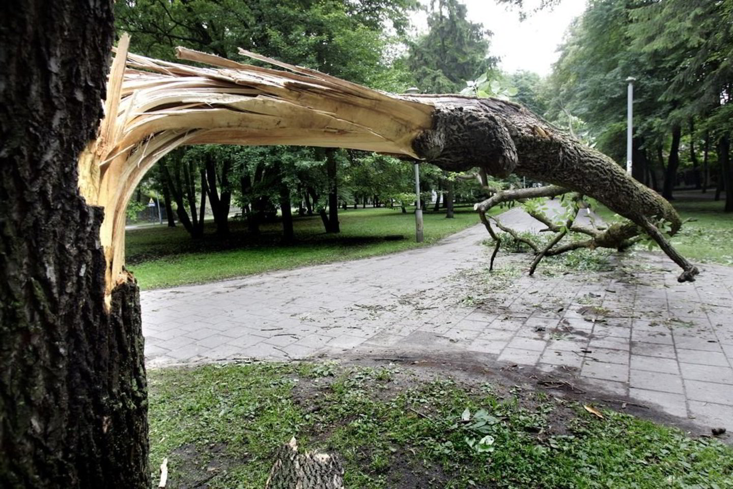 Vėtra draskė elektros laidus, vartė medžius, plėšė gyvenamųjų namų ir ūkinių pastatų stogus.