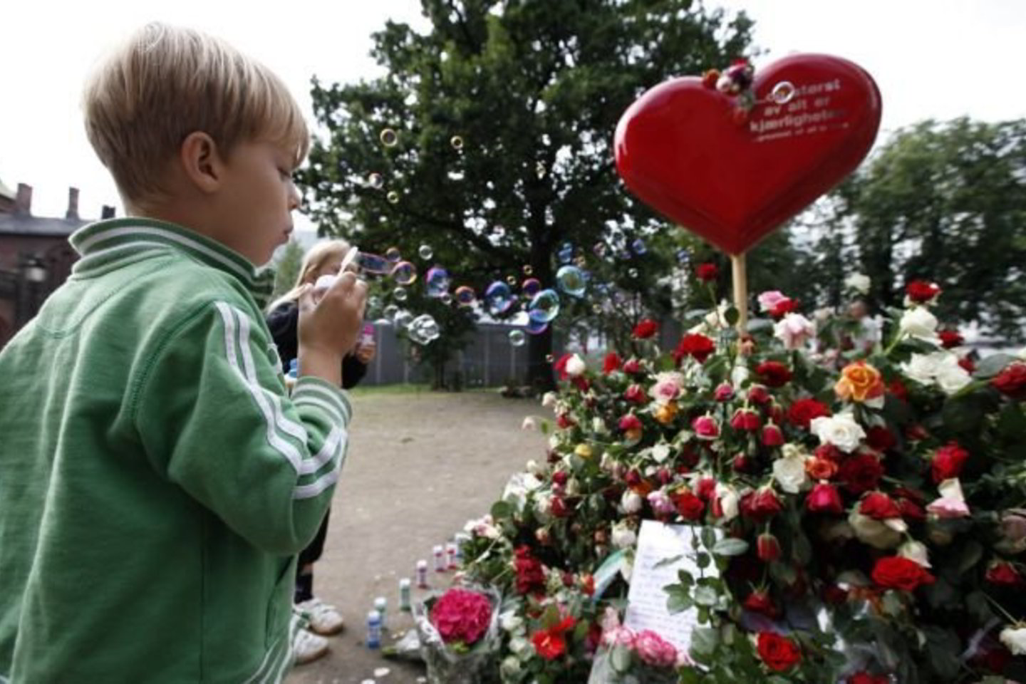 Osle kai kurie žmonės dalyvavo muilo burbulų, kaip pagarbos pirma laiko nutrūkusiems gyvenimams, akcijoje.