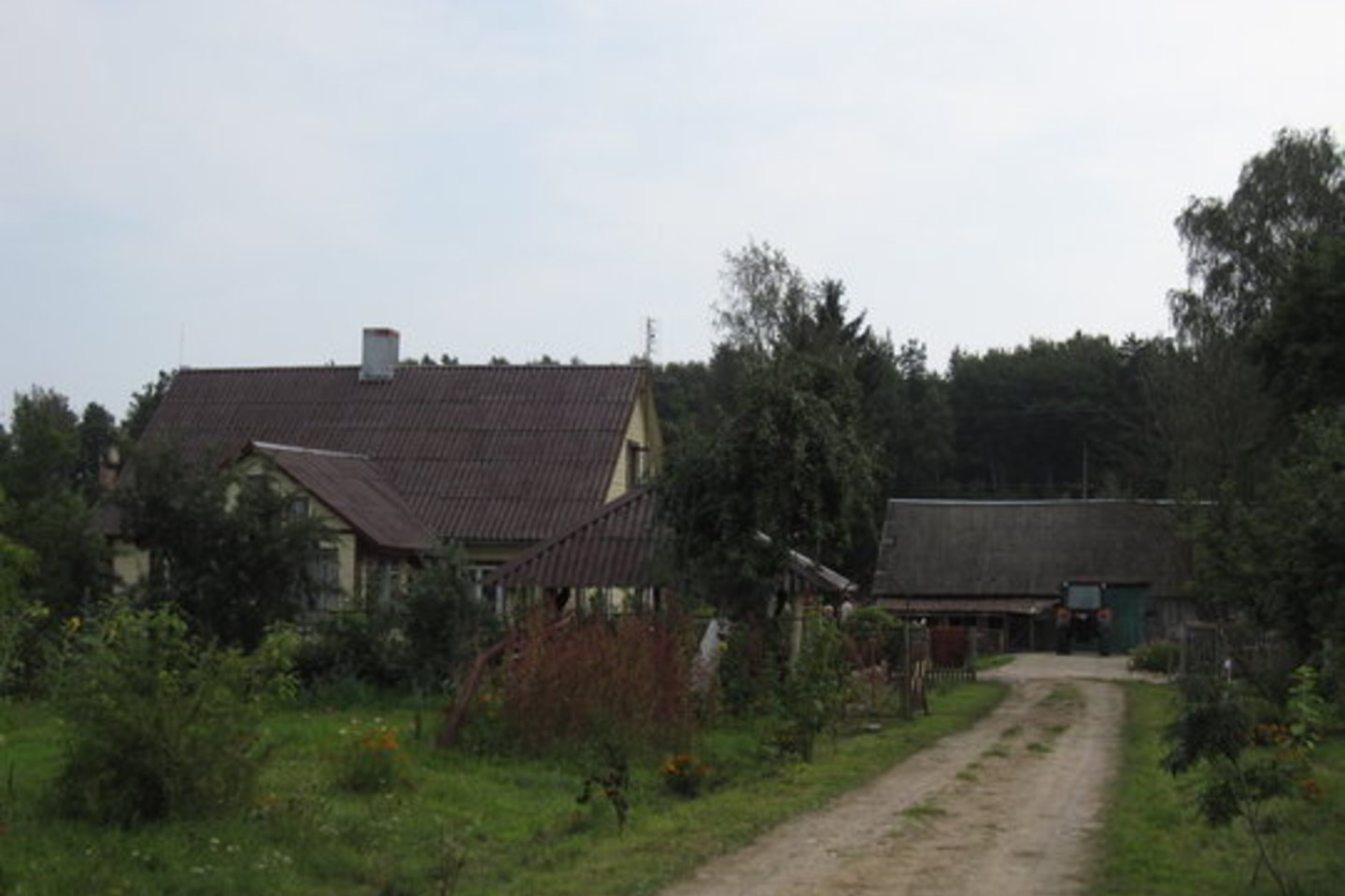 Įtariama, kad šioje sodyboje gaisrą sukėlė atstumtas šeimininkės draugas