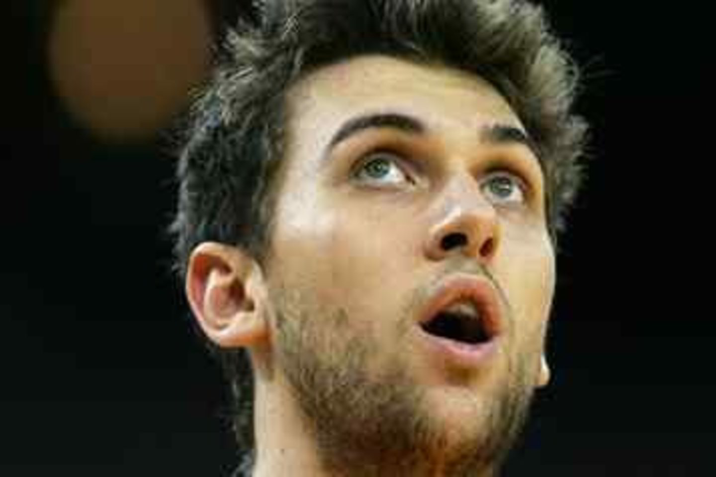 A.Bargnani atkovojo net 19 kamuolių.