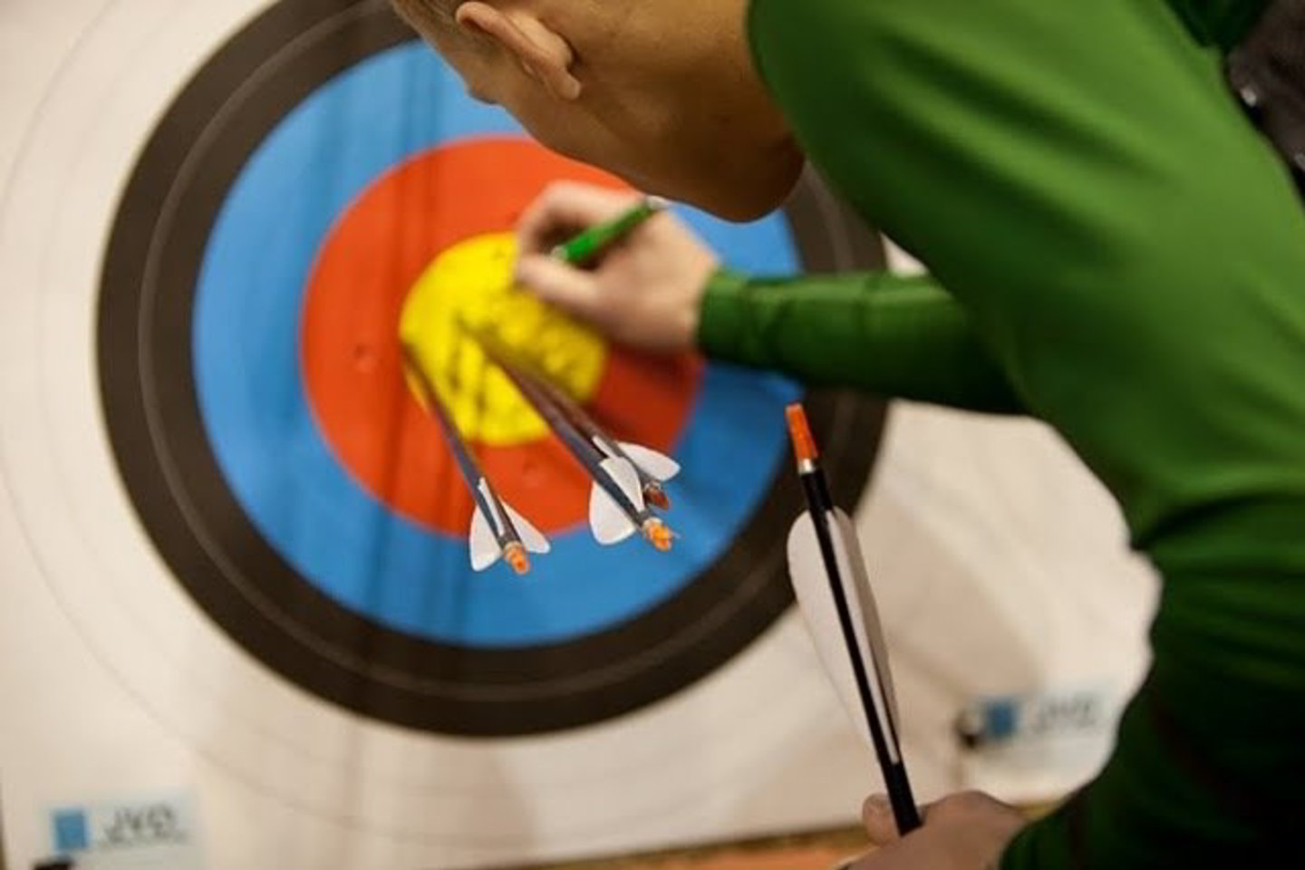 archery.lt