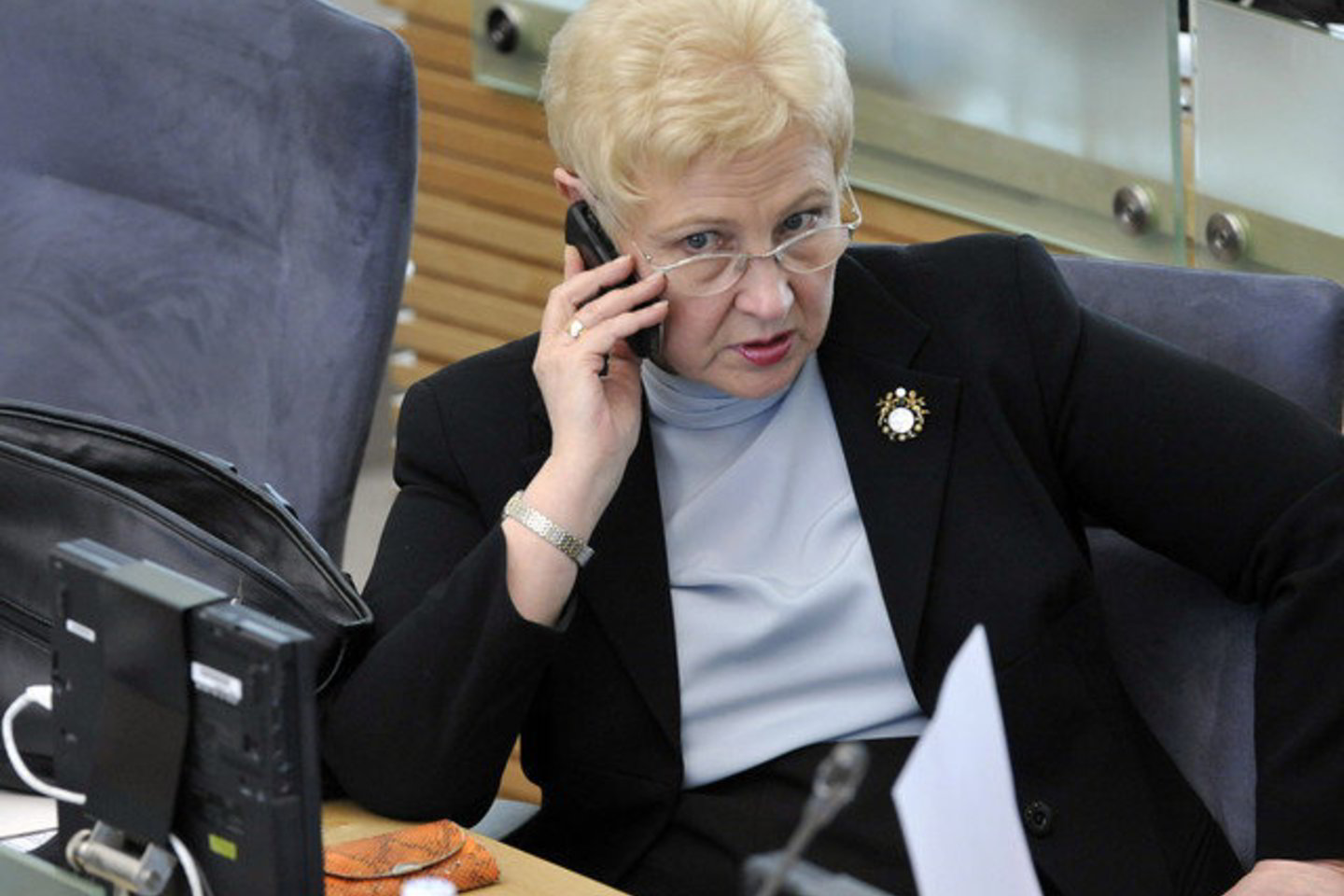 Parlamento vadovės nuomone, toks klubas galėtų veikti tik visuomeniniais pagrindais.