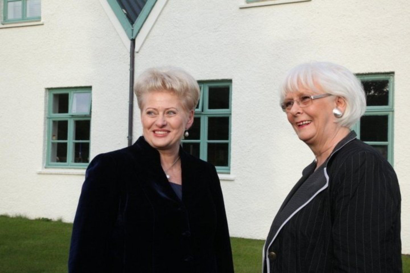 D.Grybauskaitė susitiko su Islandijos ministre pirmininke Johana Sigursdottir.