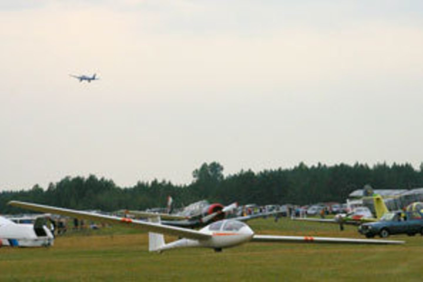 Paluknio aerodrome veikia trys pilotų rengimo mokyklos.