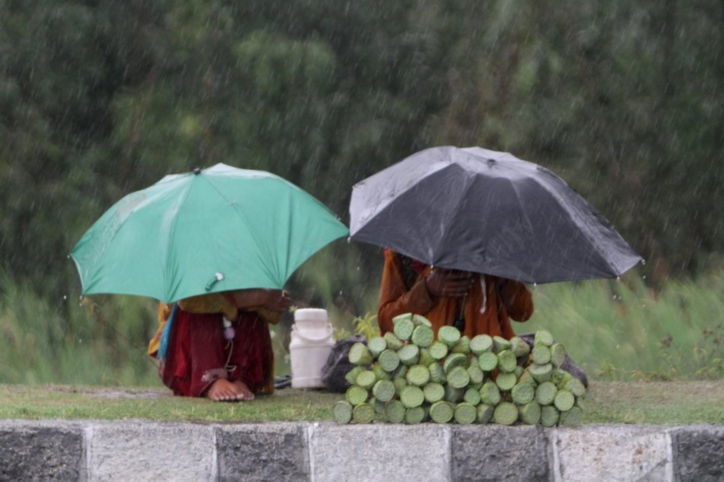 Nyderlandų meteorologijos tarnybos duomenimis, birželį, liepą ir rugpjūtį šalyje iškrito 350 mm kritulių.