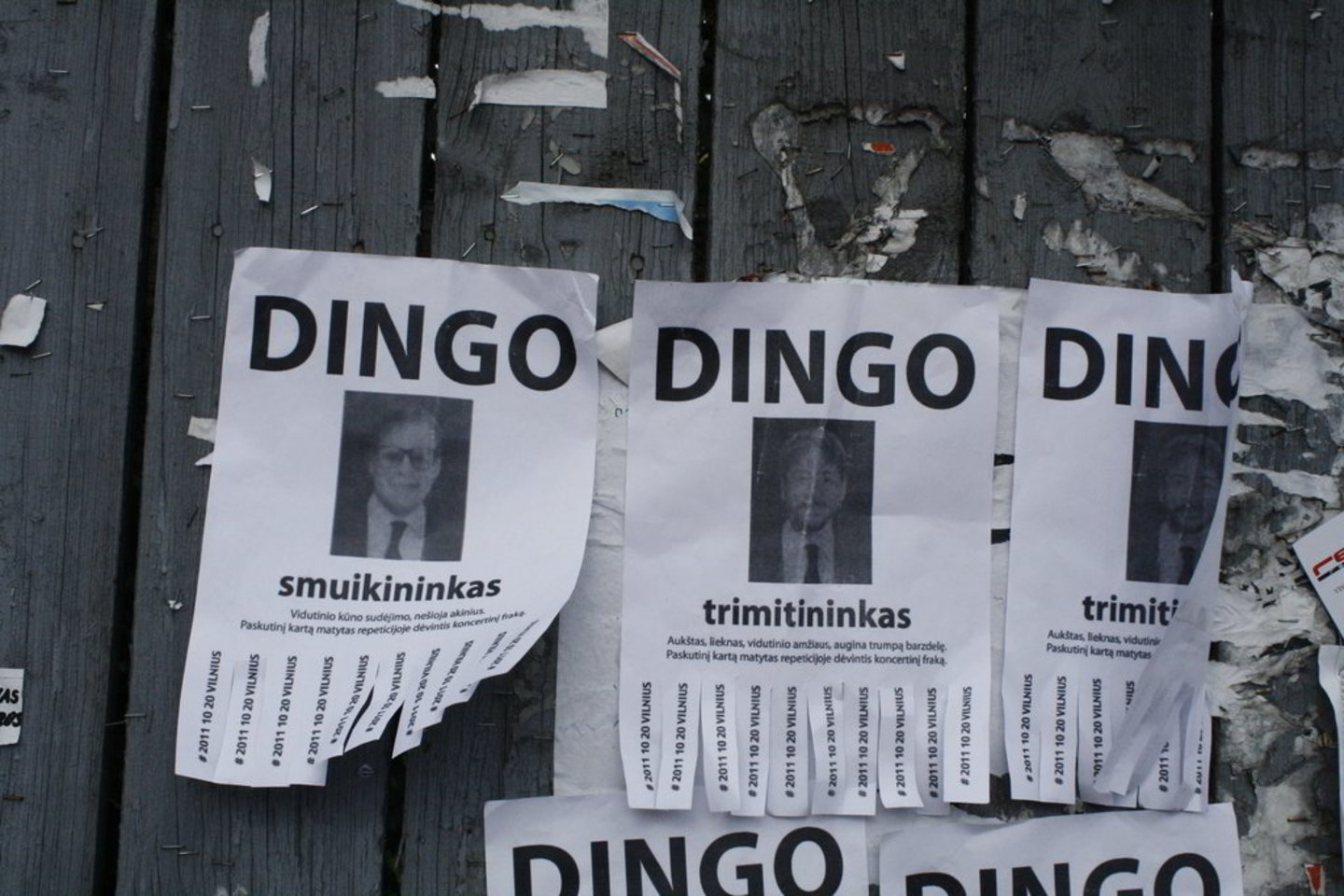 Mieste šmėžavo be žinios dingusių bevardžių žmonių nuotraukos.